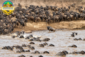 AFRICO SAFARI MASAI MARA NATIONAL PARK