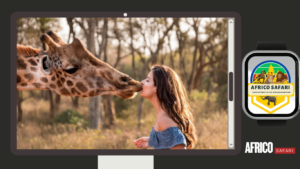 africo safari-filsims enterprises